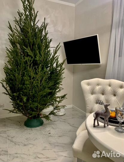 Ель символ нг доставка за наш счет