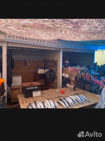 Аренда павильона