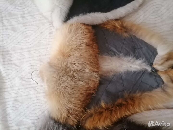Воротник рыжая лиса