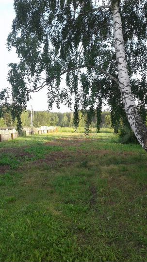 Участок 11,4 сот. (СНТ, ДНП)