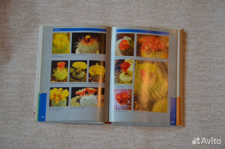 Книги о кактусах