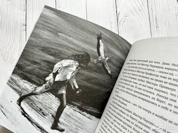 Штормик и мистер Персиваль (илл. Роберта Ингпена)