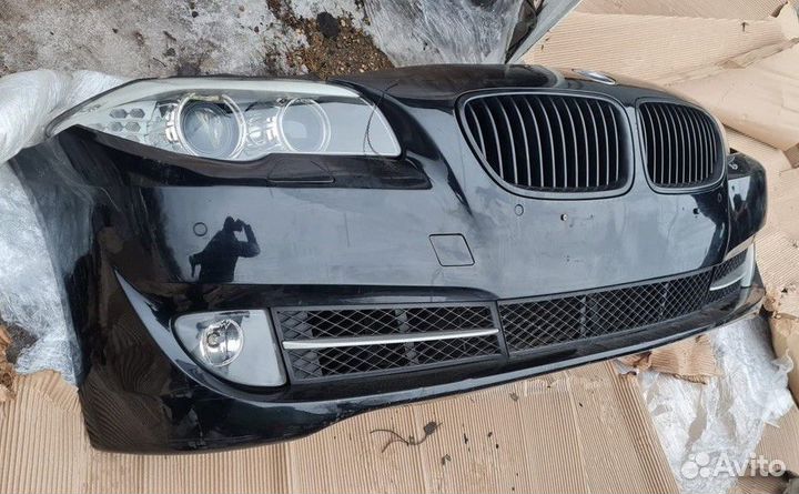 Ноускат
