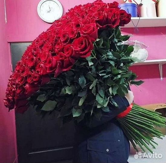 Высокие розы Гигантские розы 110