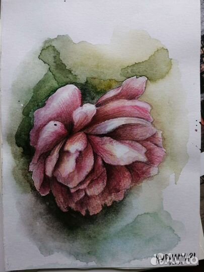 Картины цветов