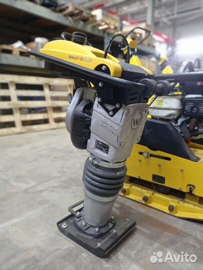 Прокат трамбовки