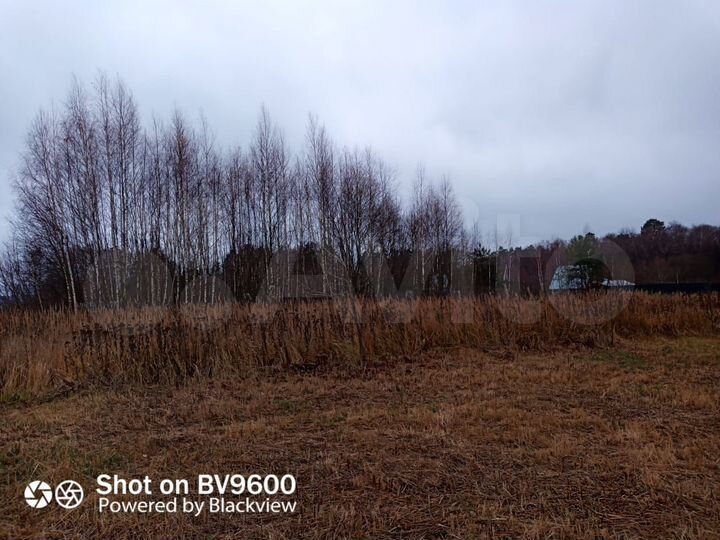 Участок 8 сот. (СНТ, ДНП)