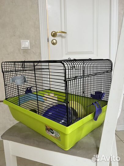 Клетка для джунгарика