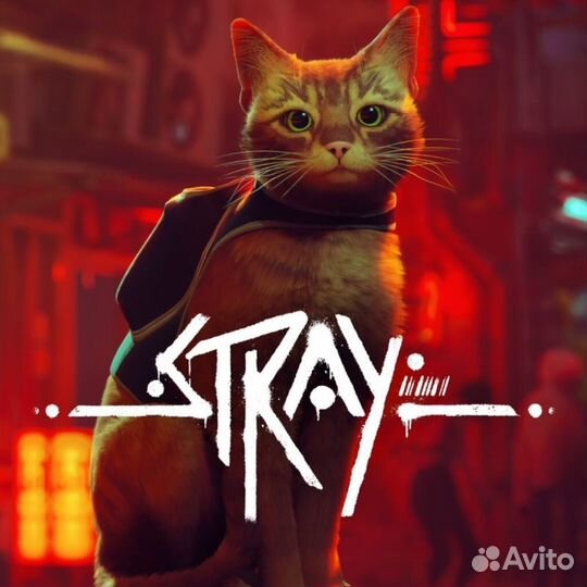 Stray (Steam)