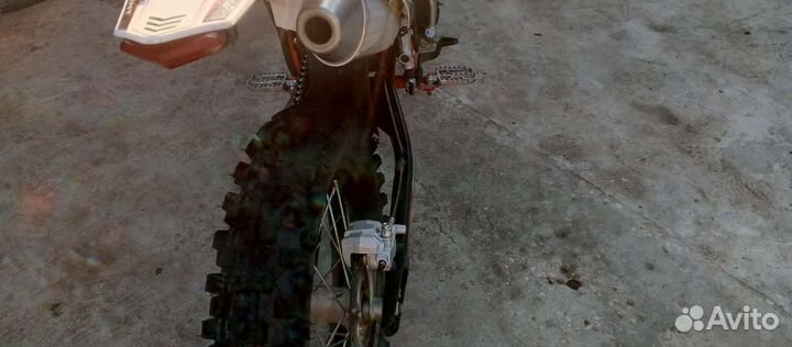 Бодрый Конь