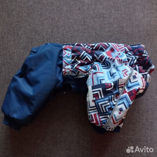 Одежда для мелких собак