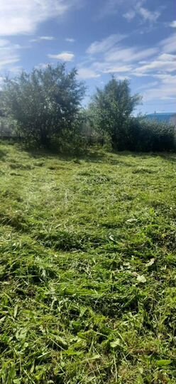 Участок 3 сот. (СНТ, ДНП)