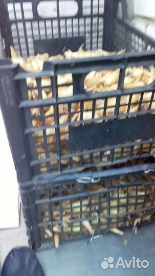 Лук на перо