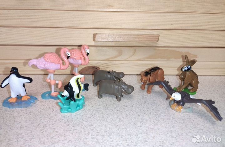 Киндер natoons 2022-2023