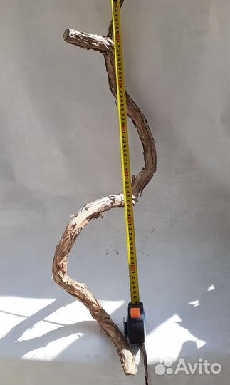 Коряга виноградная лоза в террариум