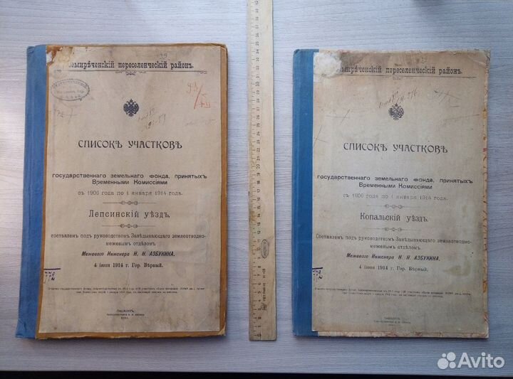 Две учетные книги Российской Империи