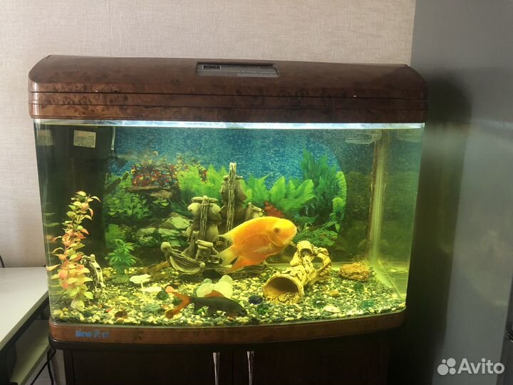 Продам аквариум б/у на 140 литров и тумбу