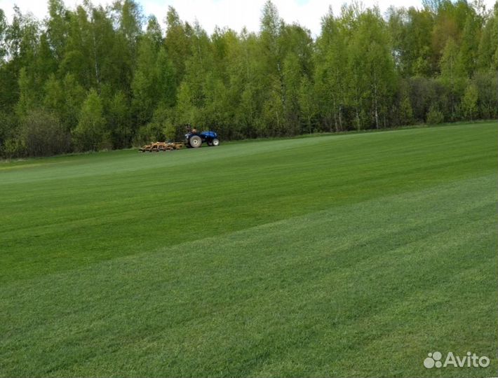 Рулонный газон