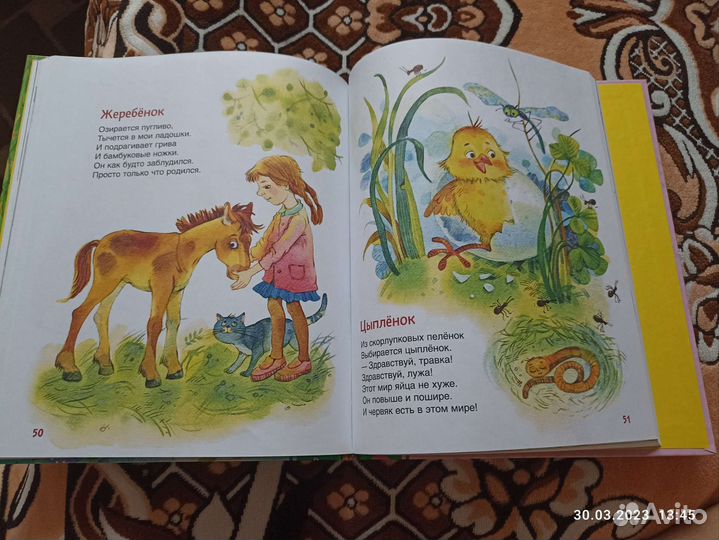 Детская книга