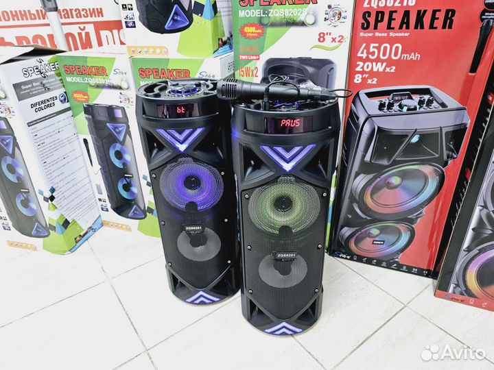 Портативная колонка с микрофоном 30Вт (Чап50)