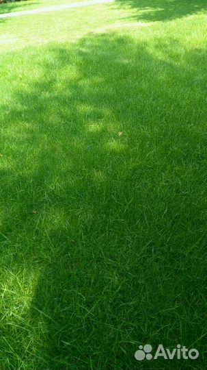 Автоматический полив