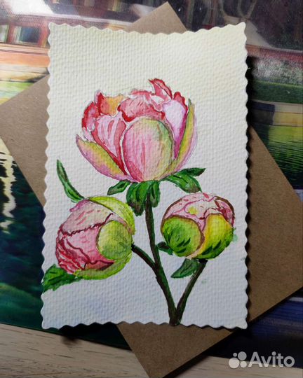 Нежнейшие пионы. Открытка. А 5. Акварель