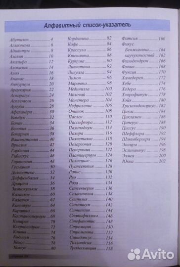 Книга Всё о 100 комнатных растениях