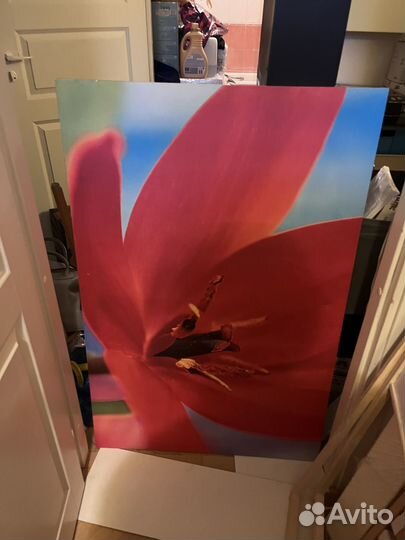 Картина IKEA Pjatteryd красный цветок
