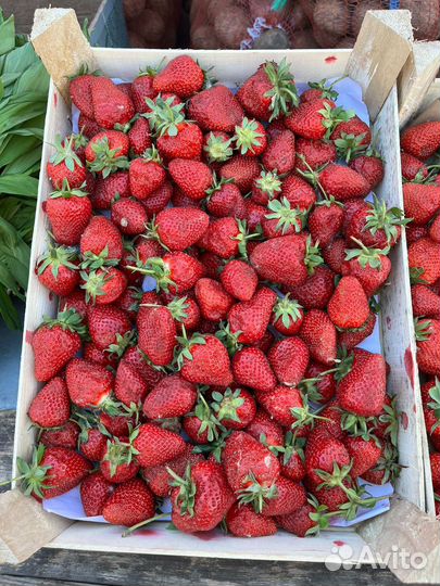 Клубника черешня