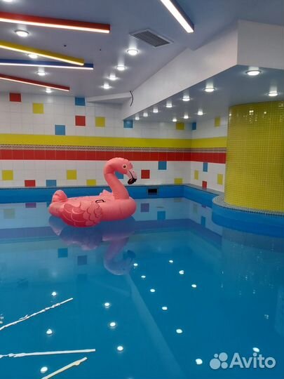 Франшиза детского бассейна с морской водой