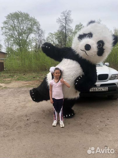 Праздники и мероприятия