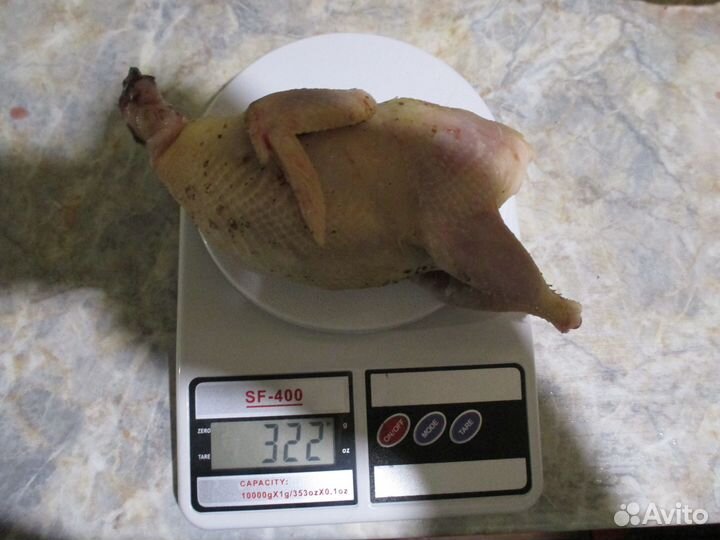 Парное мясо перепелов