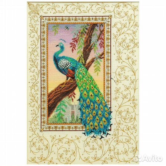 Набор для вышивания Anchor CC80455 Павлин