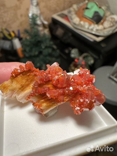 Ванадинит Азурит Аурипигмент Брусит Аммолит