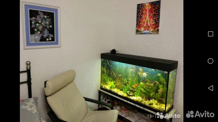 Перевозка аквариума и аквариумных рыб