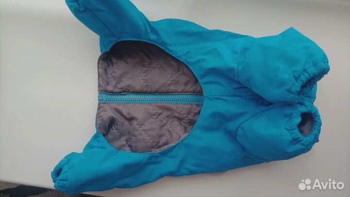 Комбинезон, одежда для собаки