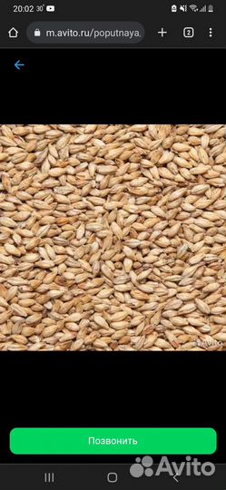 Продажа зерна на корм