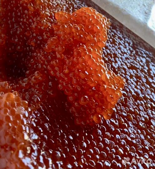 Красная икра