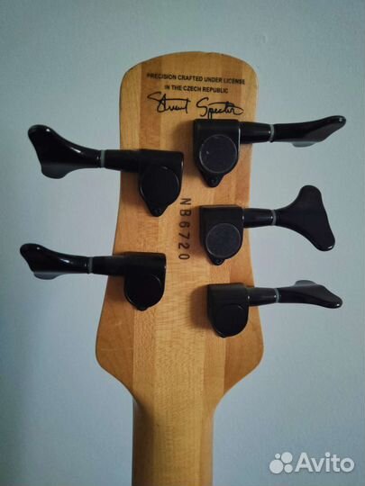 Spector ReBop5DLX Exotic Zebra Wood Top