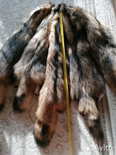 Шкурка животного барсука