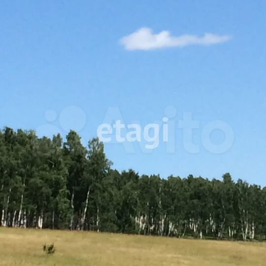 Участок 6,51 га (личное подсобное хозяйство (лпх))