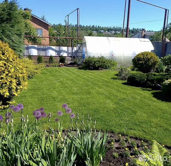 Рулонный газон