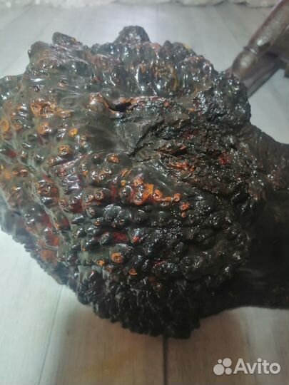 Голова медведя из капа