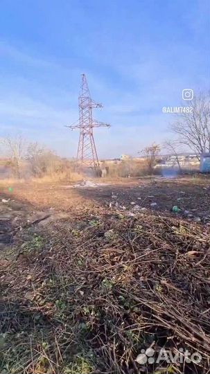 Спил деревьв