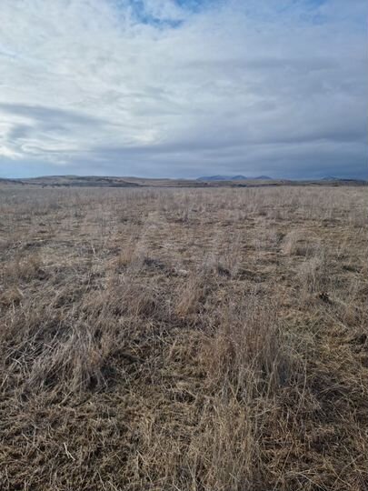 Участок 9 га (СНТ, ДНП)