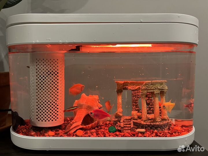 Аквариум Xiaomi 10 л Бронь