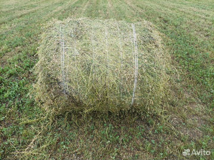 Люцерна в рулонах