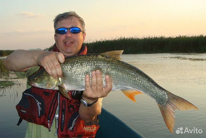 Рыбалка в Астраханской области