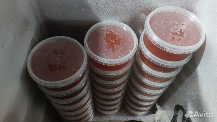 Красная икра кета 2023