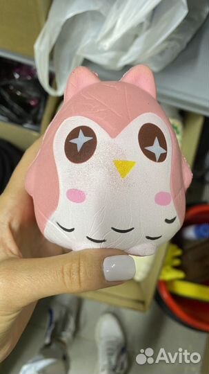 Сквиши новые